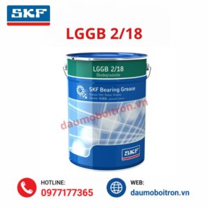 SKF LGGB 2/18