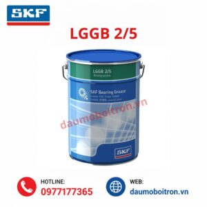 SKF LGGB 2/5